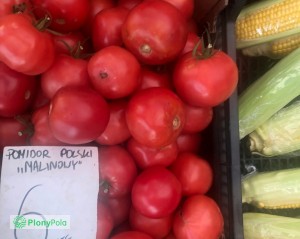 Pomidory Malinowe 6 zł / kg. Warzywa od rolnika Piaseczno