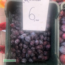 Śliwka Węgierka 6 zł / kg. Owoce do domu Piaseczno