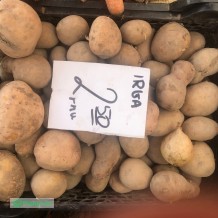 Ziemniaki Ida 2,5 zł / kg. Warzywa od rolnika Piaseczno