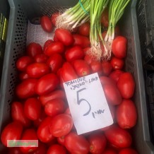 Pomidory Jajko Lima 5 zł / kg. Warzywa od rolnika Piaseczno